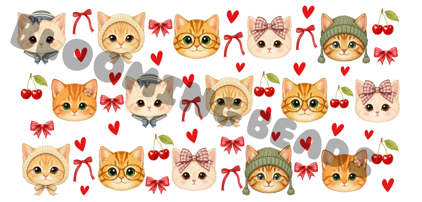 16oz wrap Cats and hats