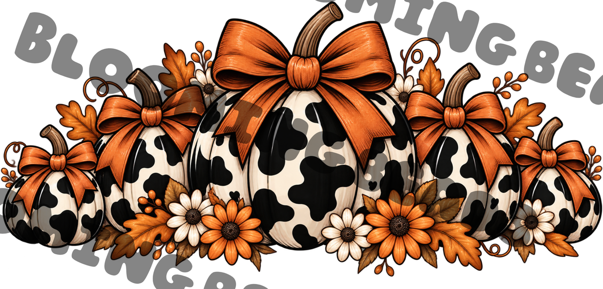 16oz wrap cow pumpkin